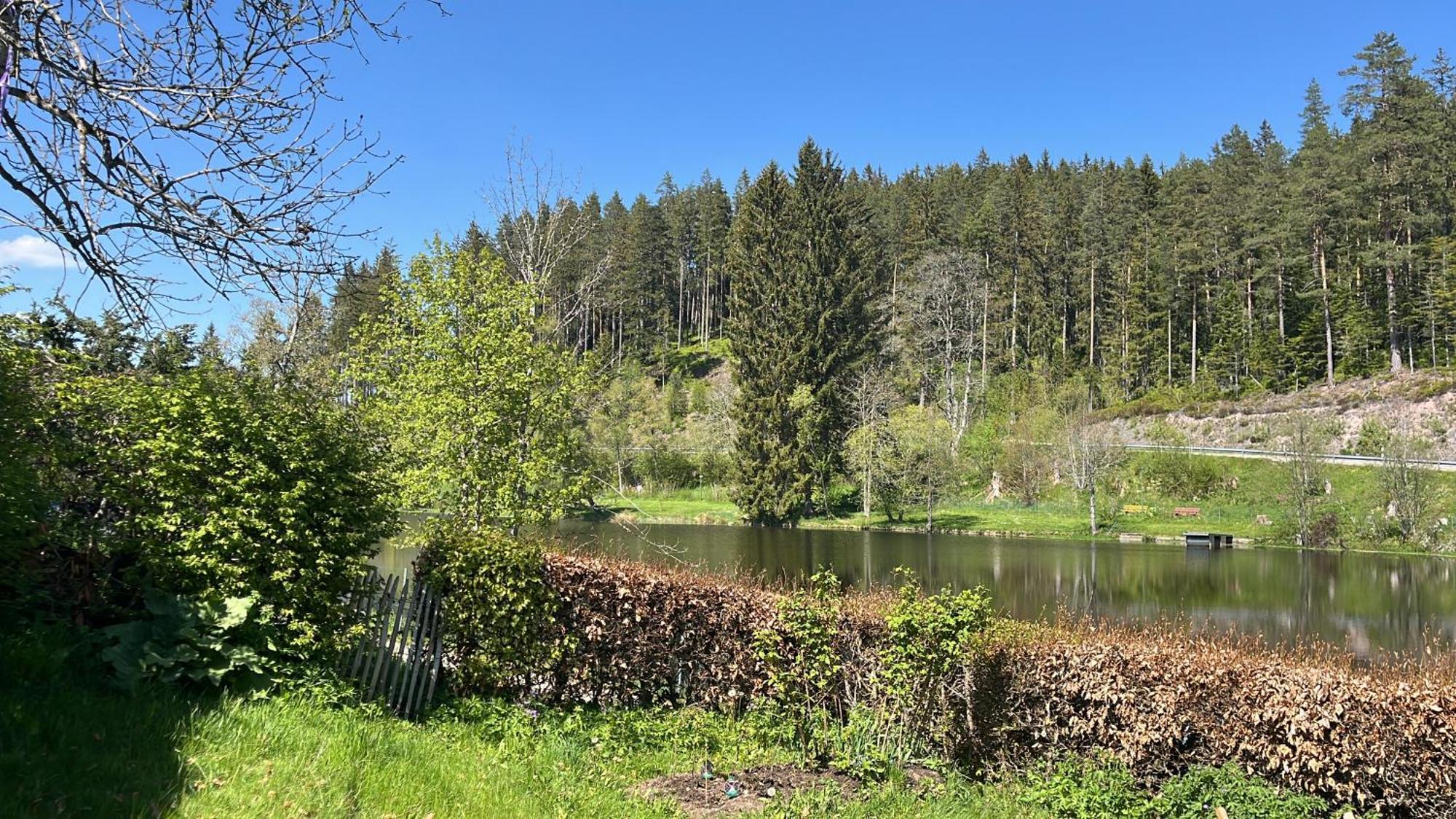 Haus Am See - Natur Pur Friedenweiler Exterior foto