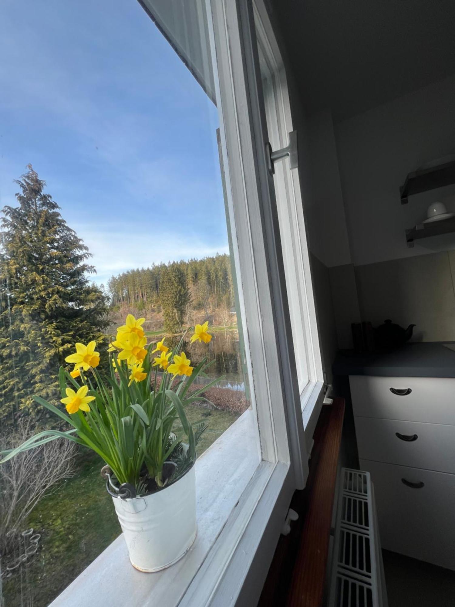 Haus Am See - Natur Pur Friedenweiler Exterior foto